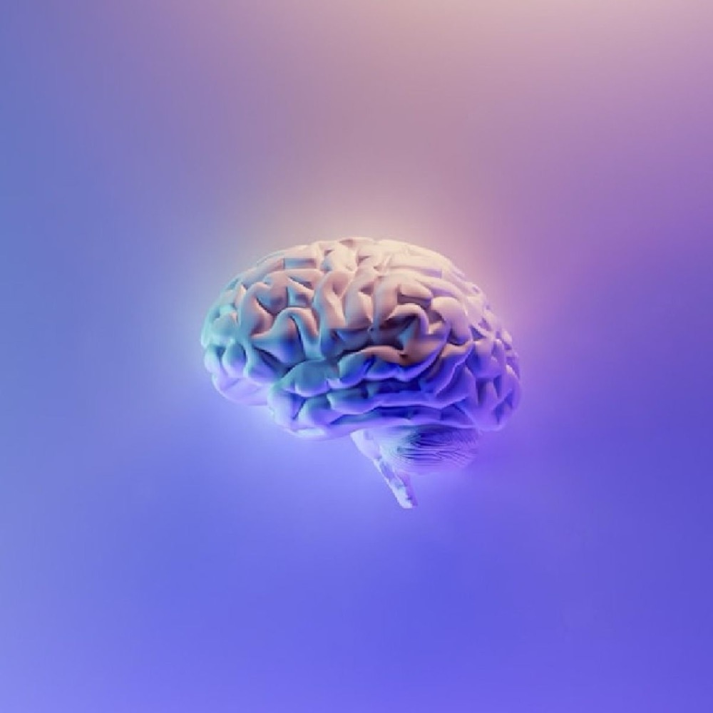 Illustration of the brain